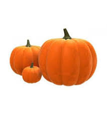 pumpkin